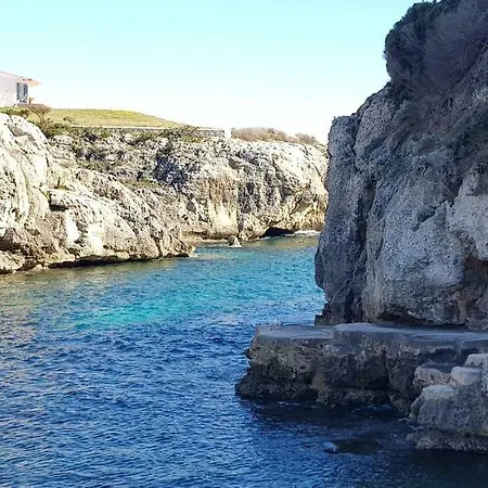 Menorca Biniforcat 24 *